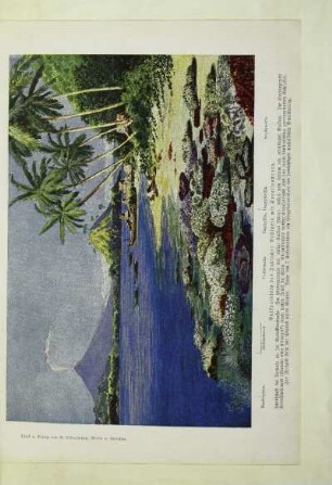 Vulkaninseln des Indischen Archipels mit Korallenstrand