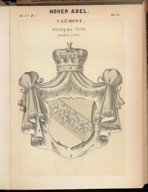 Taf. 88. Caumont, Herzog de la Force. (neuere Linie.)