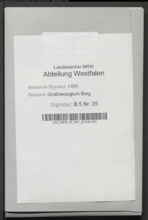Kommunales Schuldenwesen