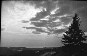Auf dem Feldberg