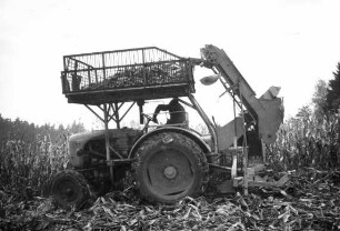 Fotografie: Erntetechnik, Körnermais, Kolbenernte, Traktor, Überkopfbunker