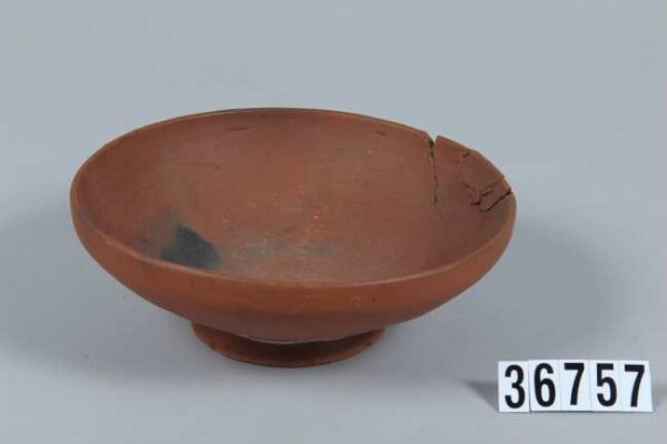 Bowl