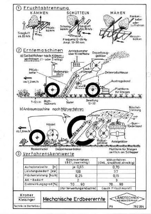 Mechanische Erdbeerernte