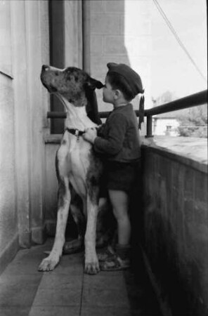 Bukarest: Haus des + Schriftleiters Wilhelm Müller, Junge mit Hund auf Balkon