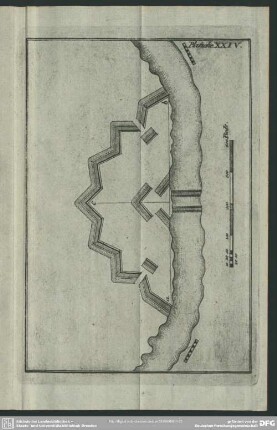 Planche XXIV