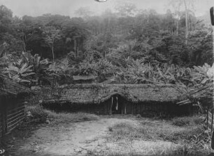 Ongola : Das Dorf Ongola im Urwald von Kamerun