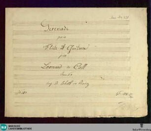 Divertimentos - Don Mus.Ms. 228 : fl, guit; D; MauC 96