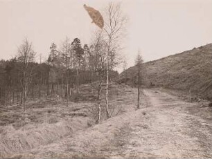 Lückendorfer Paßstraße : Lückendorf, Paßstraße. Altes Geleis der "Alten Gabler Strasse" gegen das obere Ende der Haarnadelkurve
