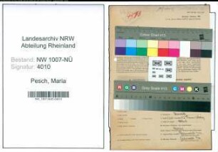 Entnazifizierung Maria Pesch , geb. 23.07.1908 (Verkaeuferin)