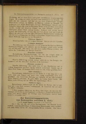 Zur Entwickelungsgeschichte von Endomychus coccineus L. (Col.).