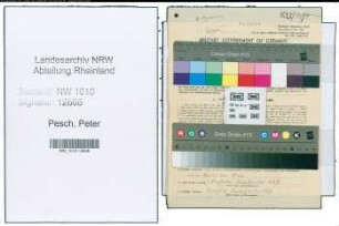 Entnazifizierung Peter Pesch , geb. 26.07.1914 (Brandmeister)