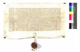 Der Hofrichter zu Rottweil Graf Rudolf von Sulz vidimiert die Urkunde König Wenzels vom 11. August 1392.