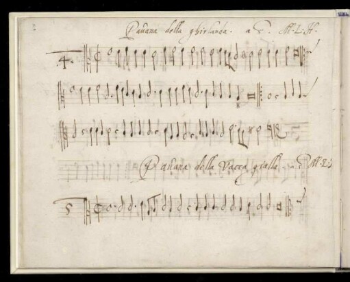 5. Pauana della vacca galla