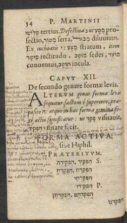 Caput XII. De secundo genere formae levis.