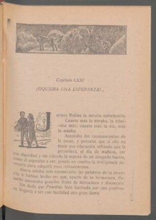 Capítulo LXXI - ¡Siquiera una esperanza!...