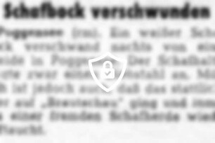 Schafbock verschwunden
