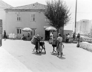 Dubrovnik, Straßenszene mit Eseln als Lasttier und Eisverkäufer