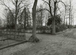Friedhof, Forst (Lausitz)