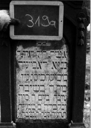 Grabstein 319 [Nir S. 203 Nr. 18.13]: Grabstein 319 (Detailaufnahme) [Nir S. 203 Nr. 18.13]