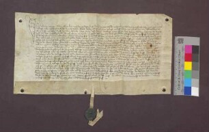 Melchior Sebizius legitimiert als Hofpfalzgraf den Hans Treu von Wisen.