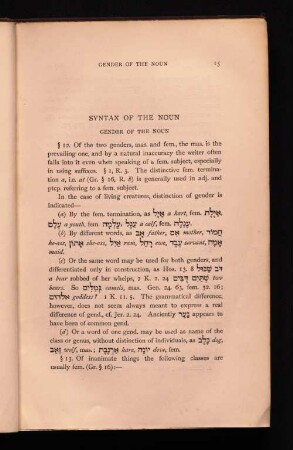 Syntax of the Noun