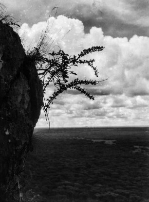Quarzitfelsen : Blick an einem Granitfelsen vorbei über eine Ebene bis hin zu einer Bergkette am Horizont.