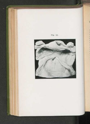Fig. 77.