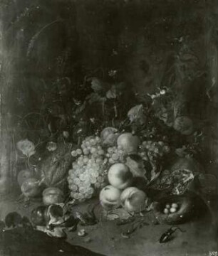 Fruchtstück mit dem Hirschkäfer