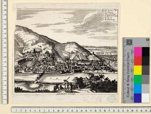 Heidelberg, Stadt und Schloss von Norden