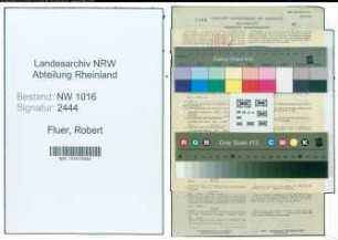 Entnazifizierung Robert Fluer , geb. 06.08.1911 (Arbeiter)