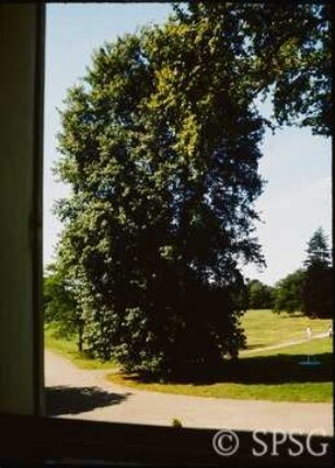 Potsdam, Park Sanssouci, Park Charlottenhof.