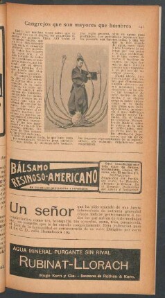 Cangrejos que son mayores que hombres