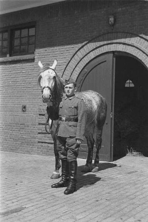 Zweiter Weltkrieg. Niederlande unter deutscher Besatzung. Wehrmachtsangehöriger, ein Pferd am Zügel aus dem Stall führend (wohl bei Den Haag)