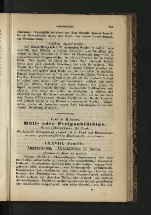 Vierte Klasse. Hüll- oder Perigonblüthige.