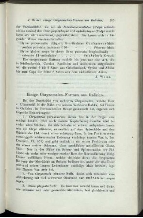 Einige Chrysomelen-Formen aus Galizien.