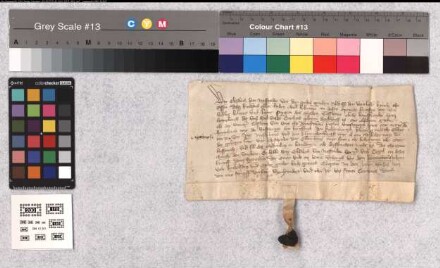 Die Äbtissin von Essen Elisabeth von Nassau macht bekannt, daß sie belehnt hat Sophie (Fya), des Quaden Goswin Ehefrau von Homberg (Hoym-), die geborenes Dienstweib des Stifts Essen ist. Sie hat erhalten den Homberg mit der Fischerei, den Barenberg (-berch), den Kaldenberg, Kleyttengut (kleiten guet) zu Ebbingdorf (Ebbinctorp), Nygehuis, das rote Rosenhaus und den Klingelenberg (-berch) samt Zubehör mit Ausnahme des Ellinghauses (Ellinc-). [Vorgenannte Güter hatte ihr verstorbener Ehemann zu Dienstmannsrechten besessen]. Sie soll diesen Besitz auf Lebenszeit zu Leibzuchtsrecht haben. Anwesend waren Dietrich von dem Vittinghoff (Vitinchove), Johann von Kuckelsheim (Kukelsem) und andere gute Leute. - Es siegelt die Ausstellerin. - Gegeven ... Dusent vyerhundert und twe up sunt Servaesdach.