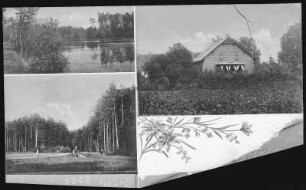 Rauscha. Oberförsterei