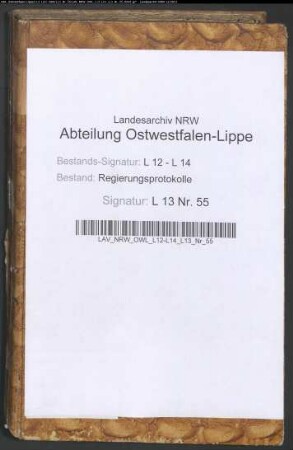 Regierungsprotokolle - Band 55