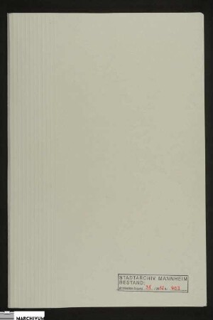 Die Verbeistandung der Taglöhner (Johann) Georg Bohrmann Ehefrau Eva, geborene Benzinger aus Feudenheim betreffend