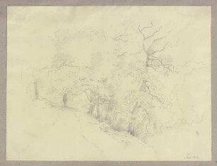 Waldweg