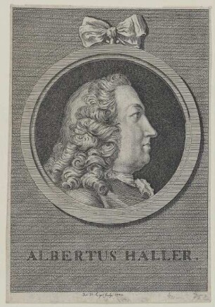 Bildnis des Albertus Haller