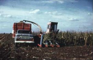 Fotografie: Ernteverfahren, Silomais, Maishäcksler selbstfahrend, Parallelverfahren, LKW