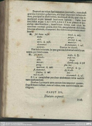 Caput XV. Diaetam exponit