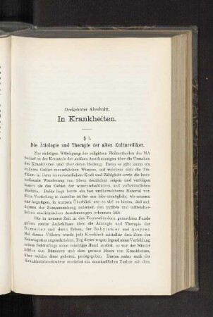 Dreizehnter Abschnitt. In Krankheiten.
