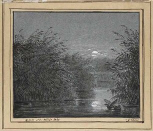 Mondschein über einem Weiher (zwei Enten im Schilf)