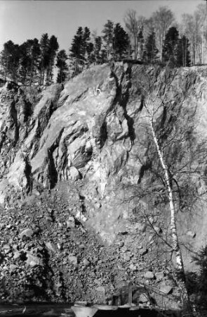 Wagensteig: Steinbruch; Griesdobel