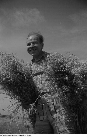 Werner Schnell (Einkäufer beim RFT-Fernmeldewerk) mit Garben