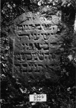 Grabstein 576 b