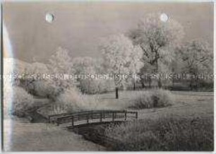 Winterlandschaft, Rauhreif