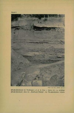 Pflastersteinbruch bei Vaihingen [...] Aufn. von 1859